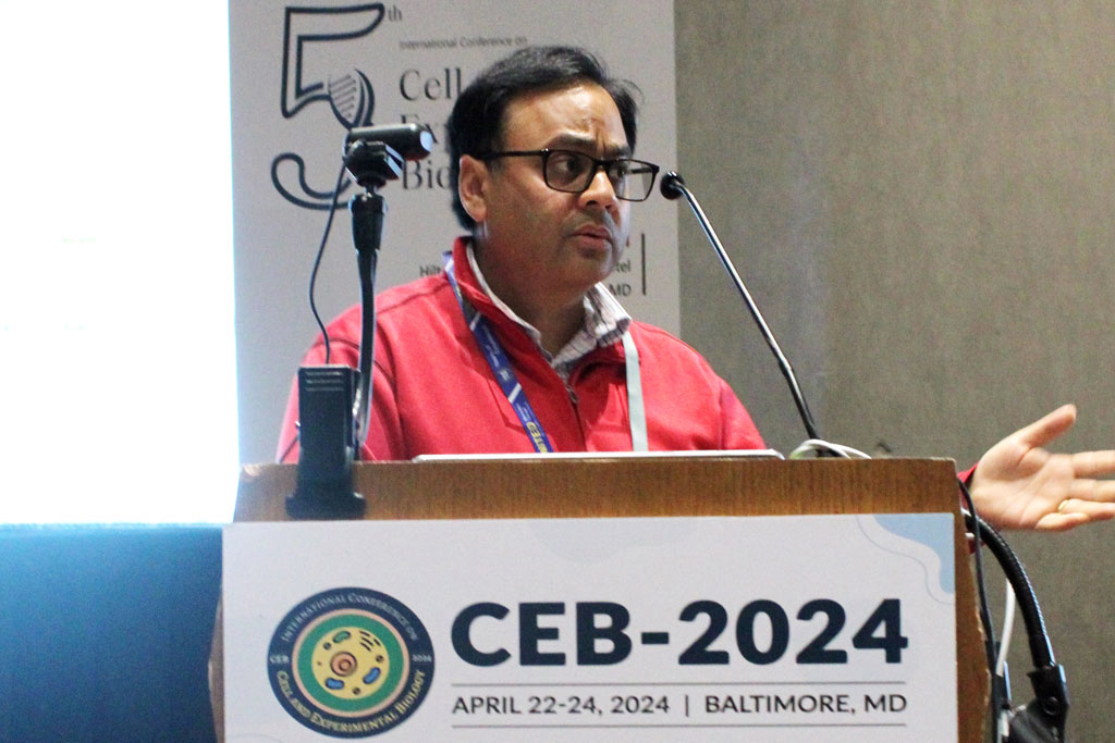 CEB-2024