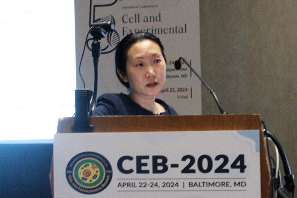 CEB-2024