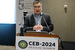 CEB-2024