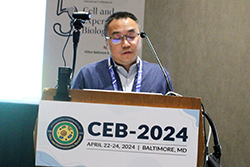 CEB-2024