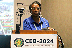 CEB-2024