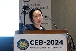 CEB-2024