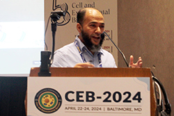 CEB-2024