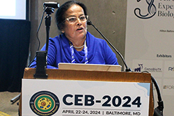 CEB-2024