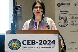 CEB-2024