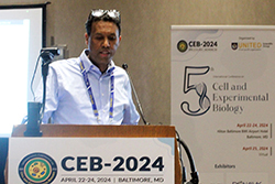 CEB-2024