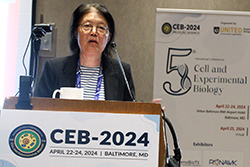 CEB-2024