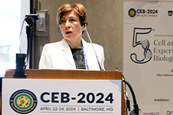 CEB-2024