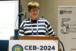 CEB-2024