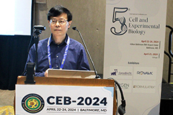 CEB-2024