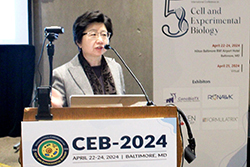 CEB-2024